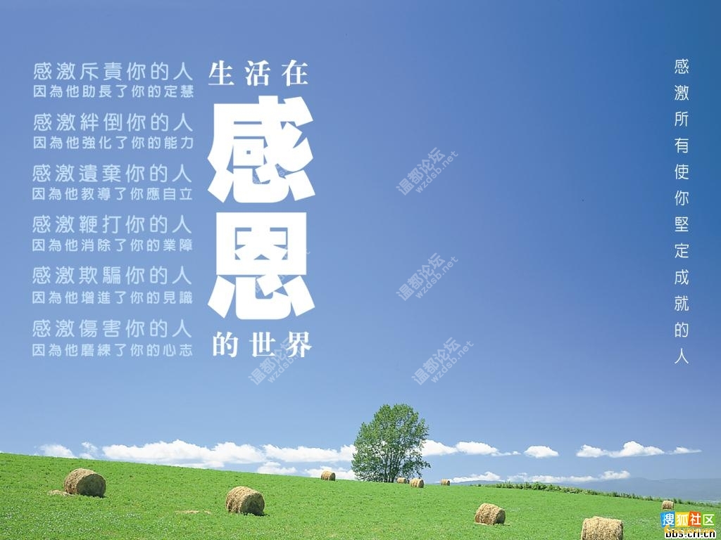 感谢有你,一路相随我们的感恩在路上