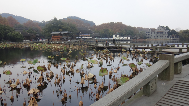 DSC00385.jpg