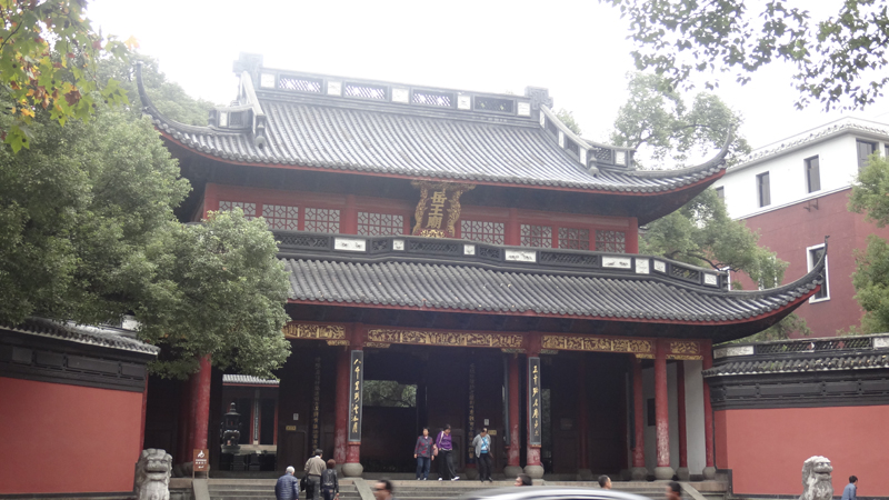 DSC00388.jpg