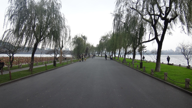 DSC00410.jpg