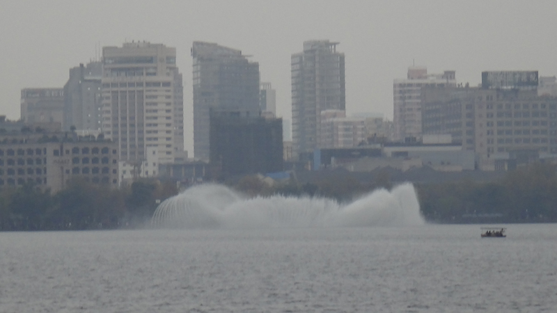 DSC00416.jpg
