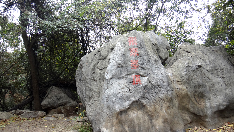 DSC00479.jpg