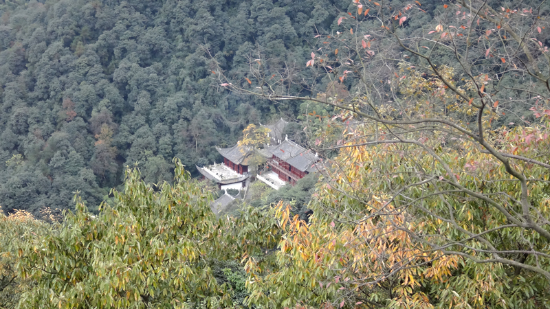 DSC00511.jpg