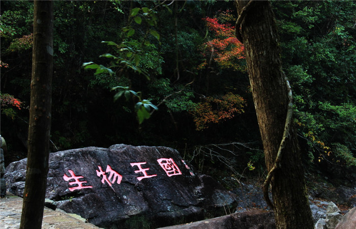 金屏人口_被全国压岁钱地图刷屏 金山人的吐槽实在太扎心