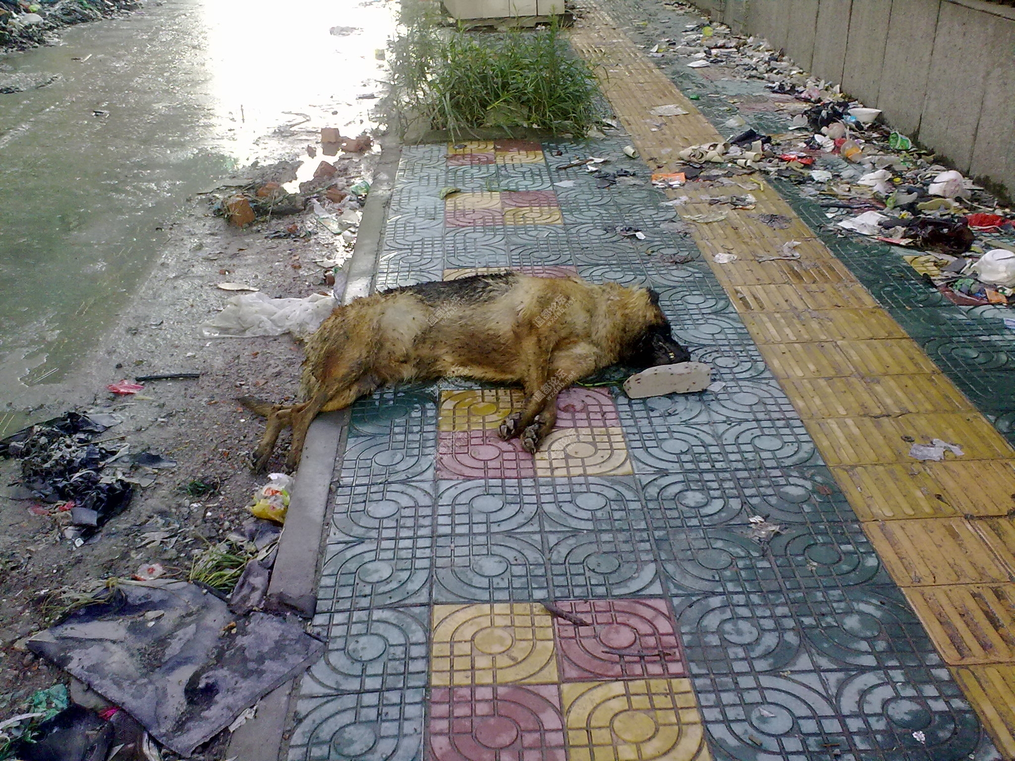 20100903055.jpg