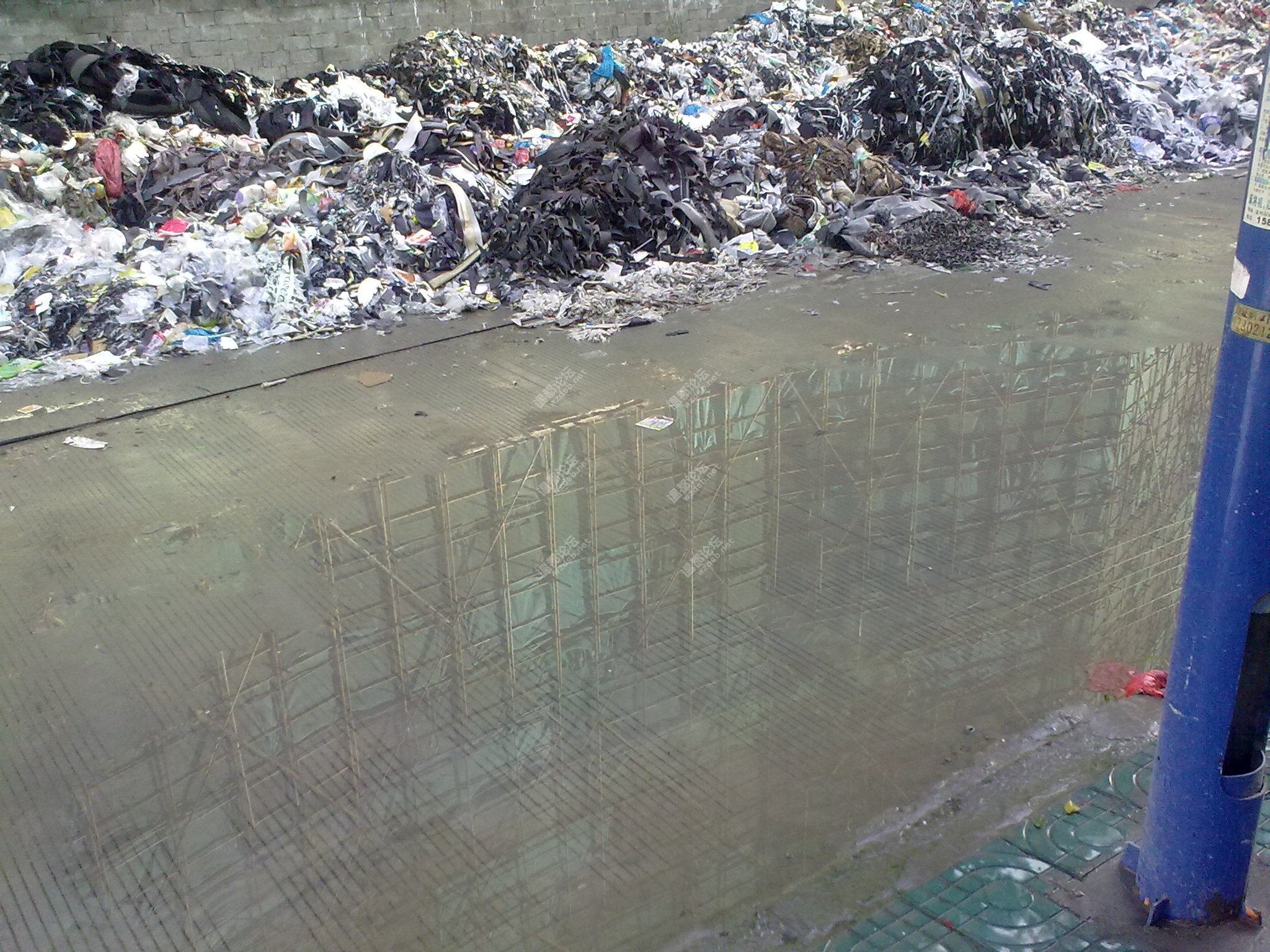 20100903056.jpg