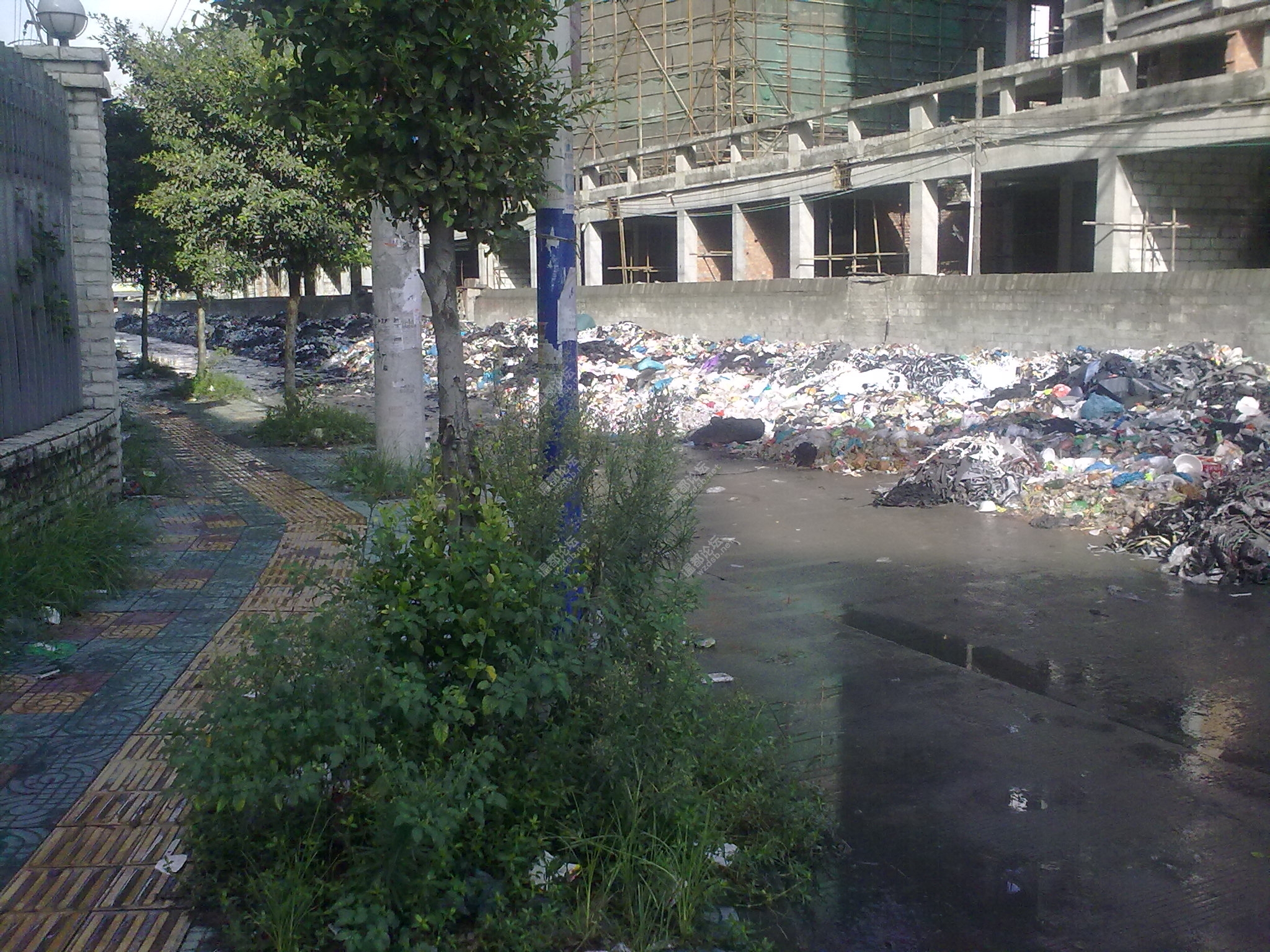 20100903059.jpg