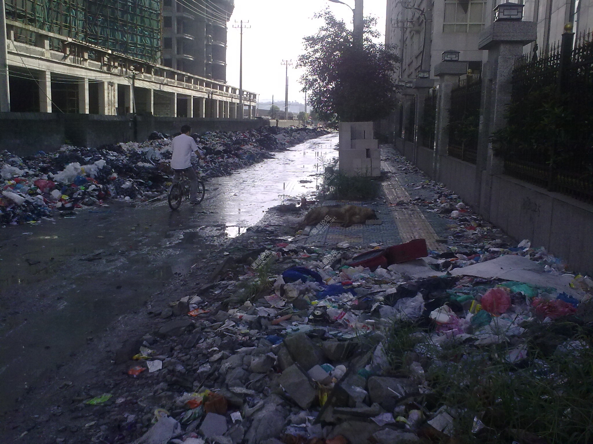 20100903054.jpg