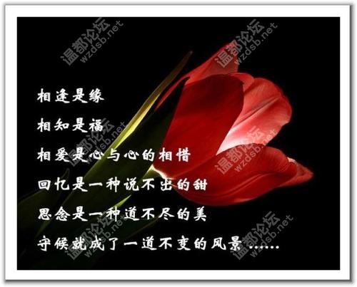 <em>别哭我最爱的</em>人+-+情感男女