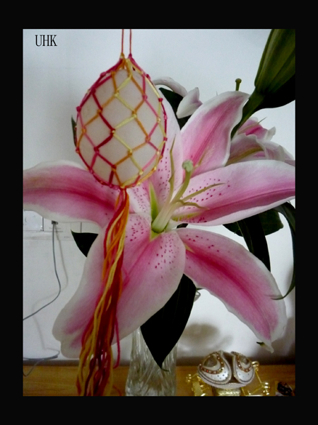 编织蛋袋 <wbr>通知 7.JPG