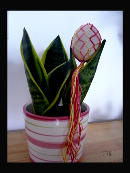 编织蛋袋 <wbr>通知 9.JPG