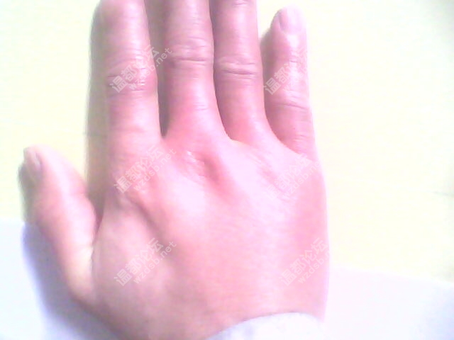 不是我不想上论坛 你看了就明白了 - 日志 - 杀手无情