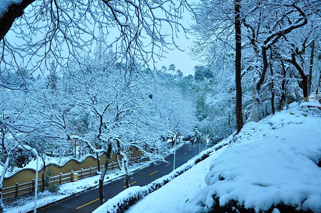 郑州的冬天冷吗?下雪吗?