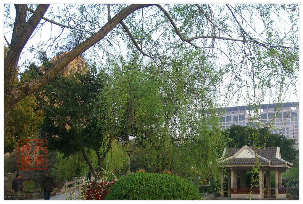 传统文化专家解读清明节 - 日志 - 风雅涛 温都博