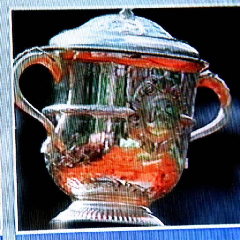 李娜问鼎<em>网球大满贯</em>单打<em>冠军</em>(连画环) - 日志 - 