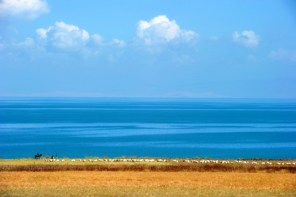 青海湖之梦——自驾游(二十八)