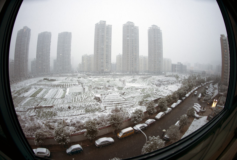 温州场雪--窗外看雪