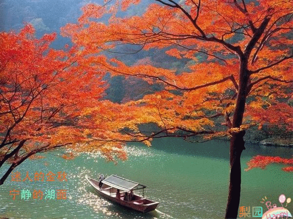 三上悠亚痴女番号 秋天红叶动态图片 黄山秋景图片大全 动漫资讯