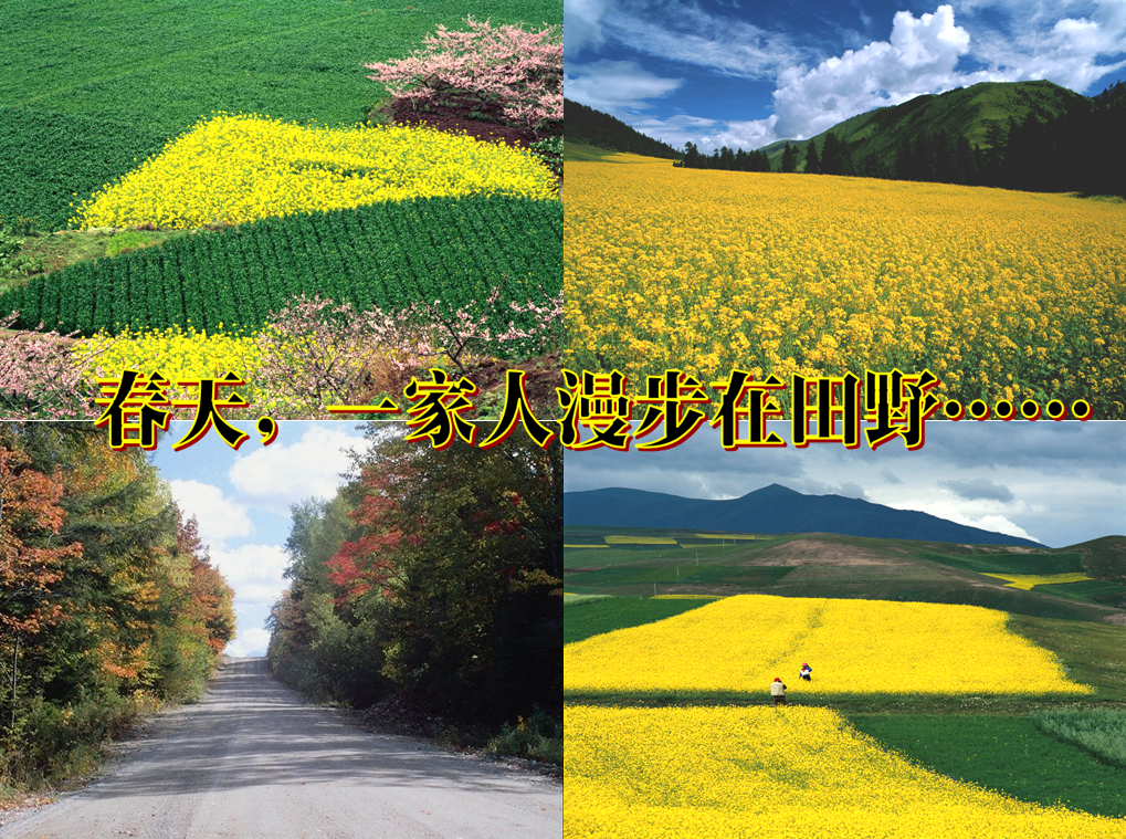 点击图片查看详情 散步莫怀戚思维导图_莫怀戚的散步