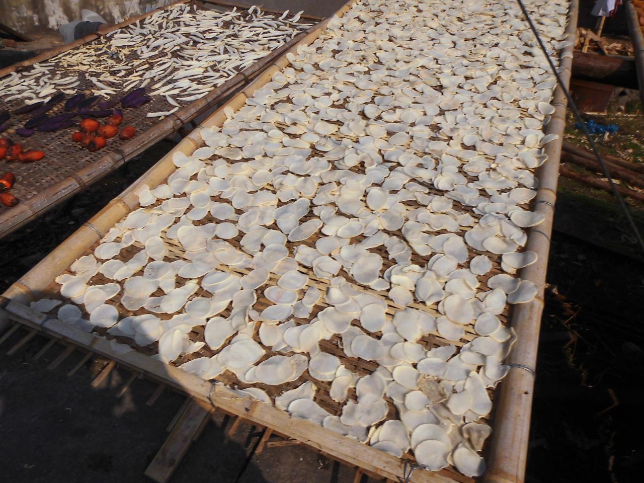 雁楠公路 风景之路 致富之路 - 日志 - 孤岛牧童