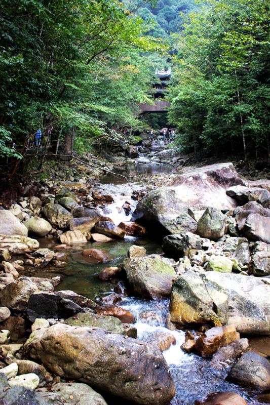 泰顺乌岩岭走拍