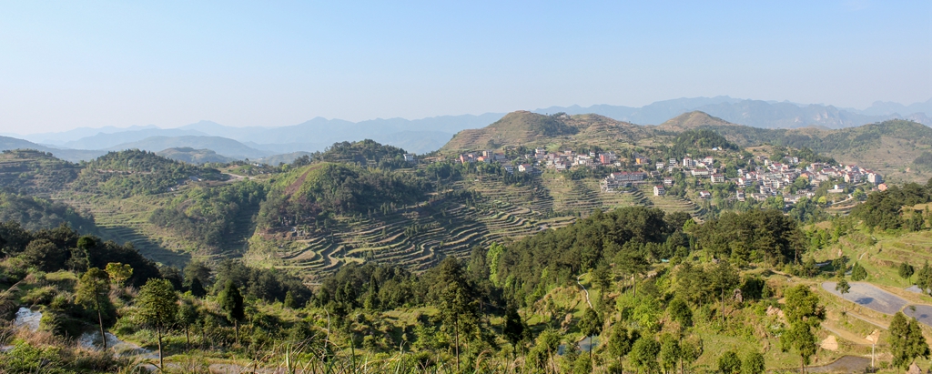 永嘉茗岙午后局部风光