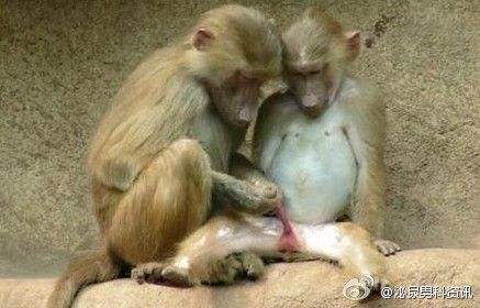 每日轻松一刻(5月30日午间)