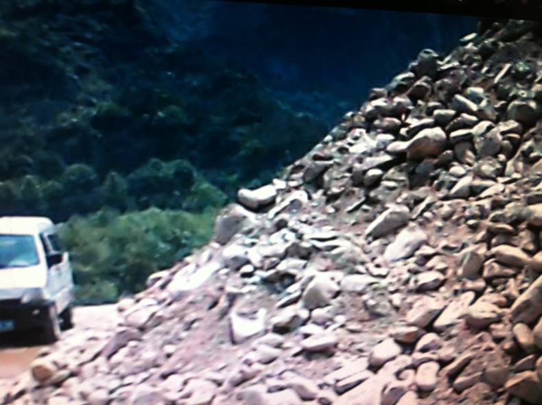 D、构成犯罪的，移交司法机关依法追究刑事责任